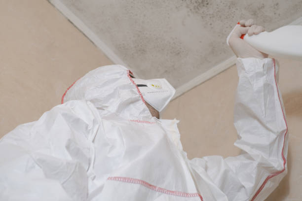 Best Mold Cleaning Services  in Cisco, TX